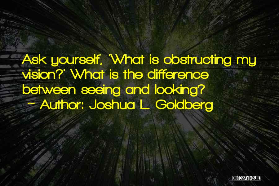 Joshua L. Goldberg Quotes: Ask Yourself, 'what Is Obstructing My Vision?' What Is The Difference Between Seeing And Looking?