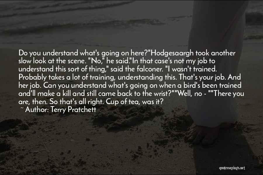 Terry Pratchett Quotes: Do You Understand What's Going On Here?hodgesaargh Took Another Slow Look At The Scene. No, He Said.in That Case's Not