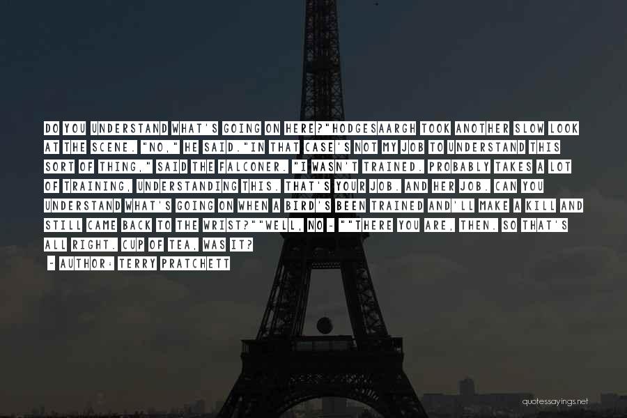 Terry Pratchett Quotes: Do You Understand What's Going On Here?hodgesaargh Took Another Slow Look At The Scene. No, He Said.in That Case's Not