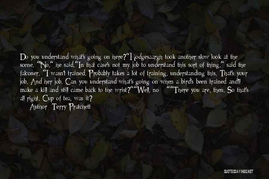 Terry Pratchett Quotes: Do You Understand What's Going On Here?hodgesaargh Took Another Slow Look At The Scene. No, He Said.in That Case's Not