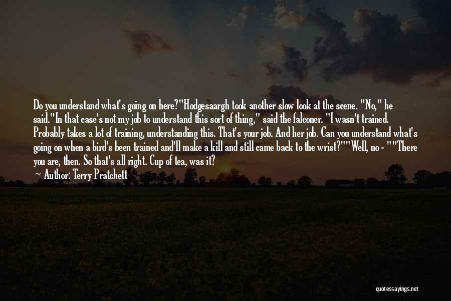 Terry Pratchett Quotes: Do You Understand What's Going On Here?hodgesaargh Took Another Slow Look At The Scene. No, He Said.in That Case's Not