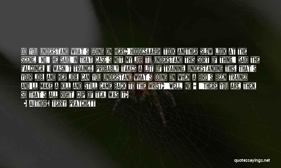 Terry Pratchett Quotes: Do You Understand What's Going On Here?hodgesaargh Took Another Slow Look At The Scene. No, He Said.in That Case's Not