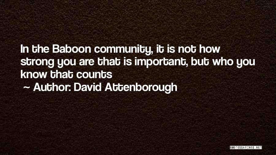 David Attenborough Quotes: In The Baboon Community, It Is Not How Strong You Are That Is Important, But Who You Know That Counts