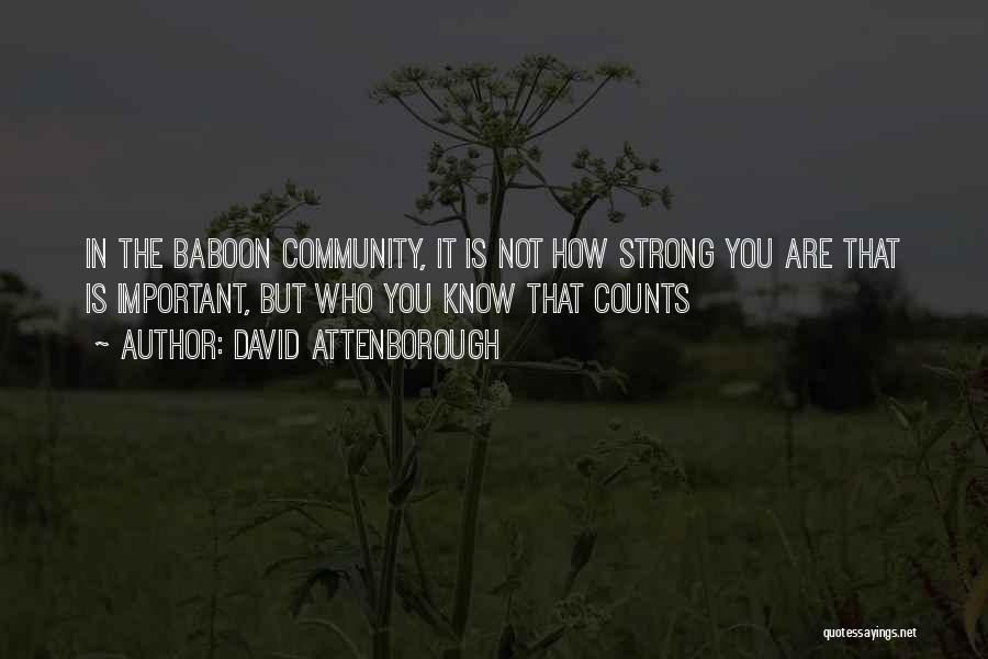 David Attenborough Quotes: In The Baboon Community, It Is Not How Strong You Are That Is Important, But Who You Know That Counts