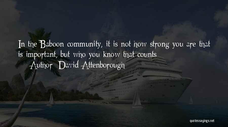 David Attenborough Quotes: In The Baboon Community, It Is Not How Strong You Are That Is Important, But Who You Know That Counts