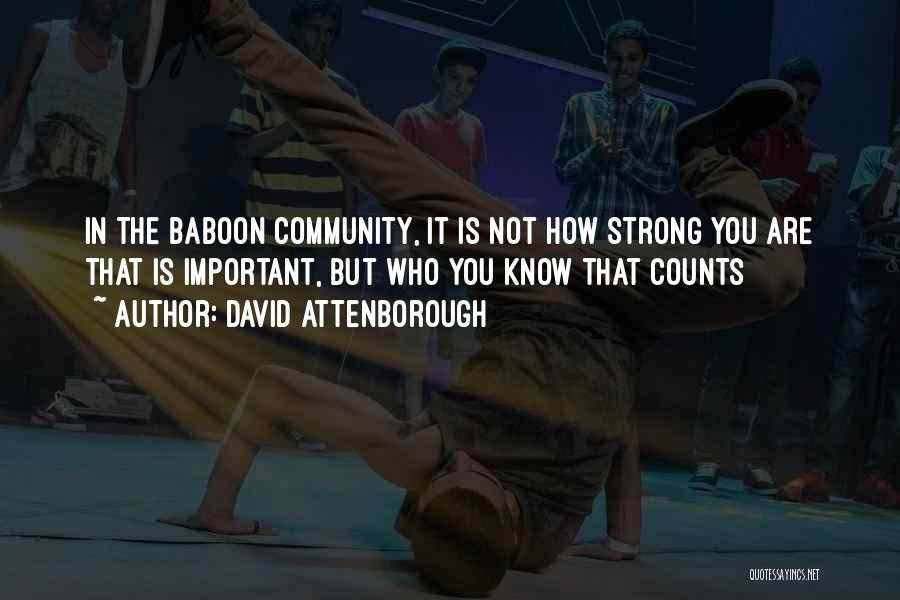 David Attenborough Quotes: In The Baboon Community, It Is Not How Strong You Are That Is Important, But Who You Know That Counts