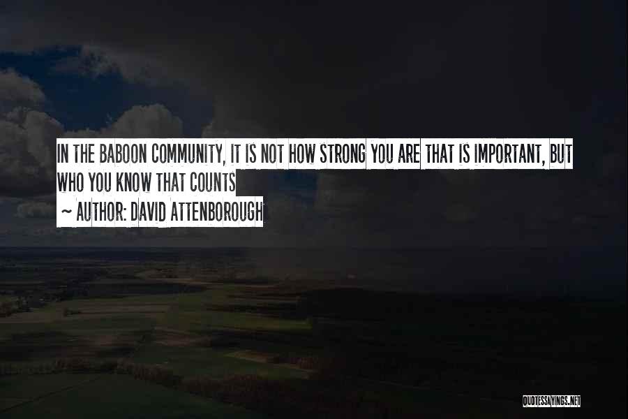 David Attenborough Quotes: In The Baboon Community, It Is Not How Strong You Are That Is Important, But Who You Know That Counts