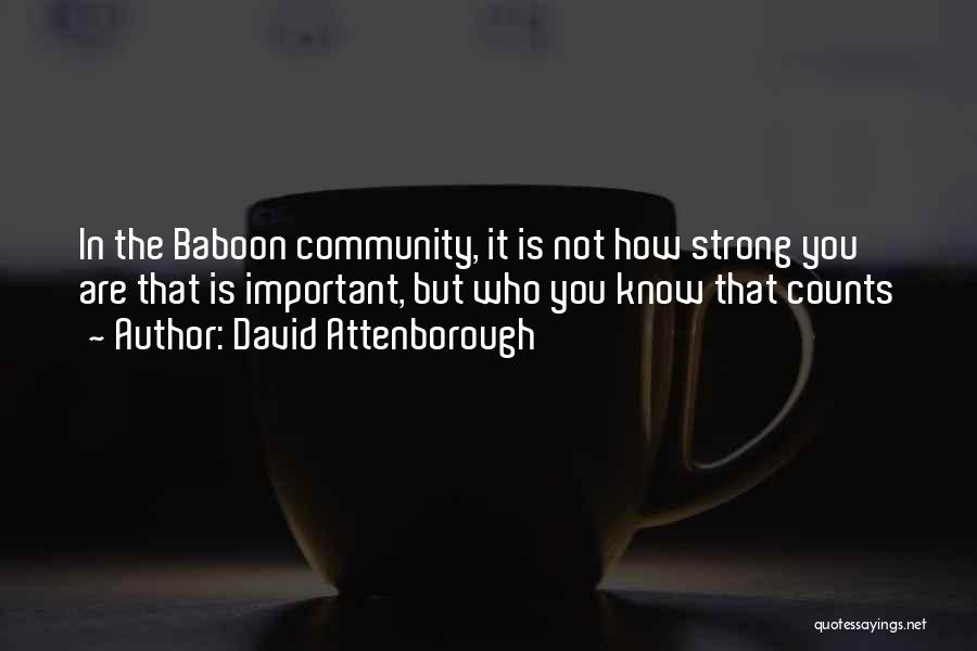 David Attenborough Quotes: In The Baboon Community, It Is Not How Strong You Are That Is Important, But Who You Know That Counts