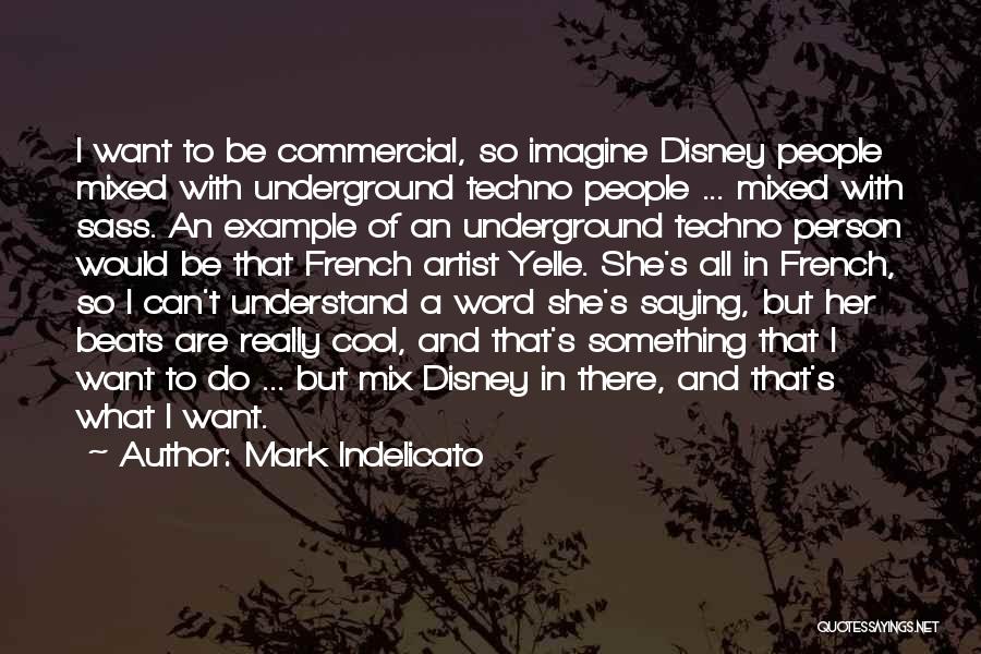 Mark Indelicato Quotes: I Want To Be Commercial, So Imagine Disney People Mixed With Underground Techno People ... Mixed With Sass. An Example