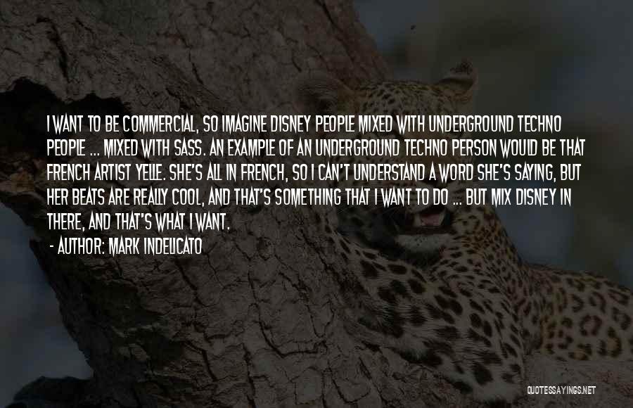 Mark Indelicato Quotes: I Want To Be Commercial, So Imagine Disney People Mixed With Underground Techno People ... Mixed With Sass. An Example