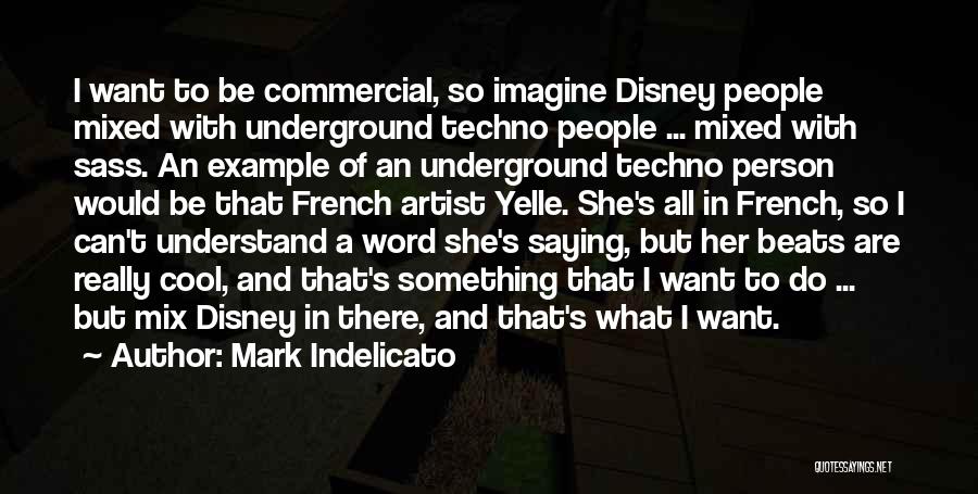 Mark Indelicato Quotes: I Want To Be Commercial, So Imagine Disney People Mixed With Underground Techno People ... Mixed With Sass. An Example