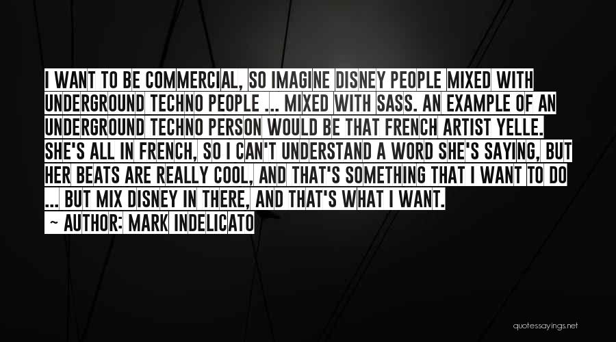 Mark Indelicato Quotes: I Want To Be Commercial, So Imagine Disney People Mixed With Underground Techno People ... Mixed With Sass. An Example