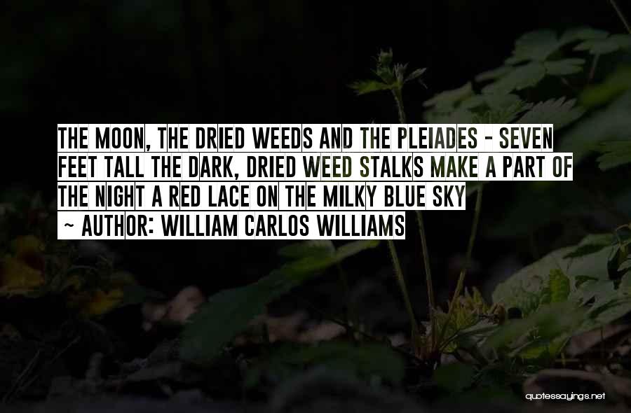 William Carlos Williams Quotes: The Moon, The Dried Weeds And The Pleiades - Seven Feet Tall The Dark, Dried Weed Stalks Make A Part