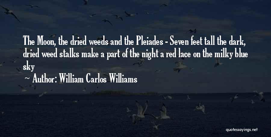 William Carlos Williams Quotes: The Moon, The Dried Weeds And The Pleiades - Seven Feet Tall The Dark, Dried Weed Stalks Make A Part