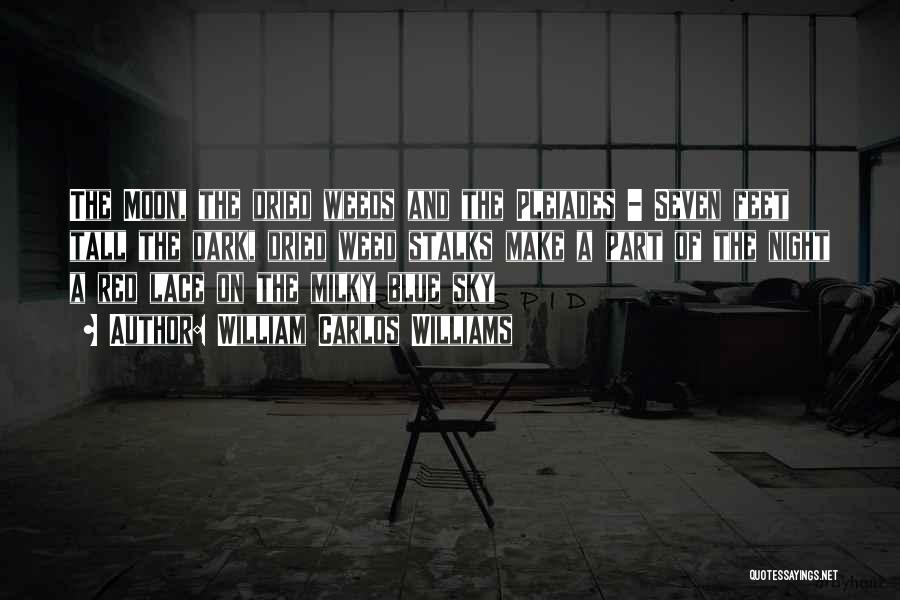 William Carlos Williams Quotes: The Moon, The Dried Weeds And The Pleiades - Seven Feet Tall The Dark, Dried Weed Stalks Make A Part