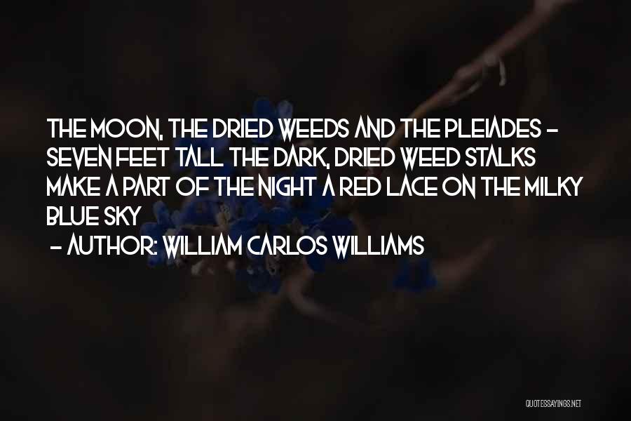 William Carlos Williams Quotes: The Moon, The Dried Weeds And The Pleiades - Seven Feet Tall The Dark, Dried Weed Stalks Make A Part