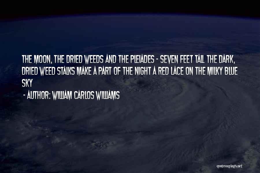 William Carlos Williams Quotes: The Moon, The Dried Weeds And The Pleiades - Seven Feet Tall The Dark, Dried Weed Stalks Make A Part