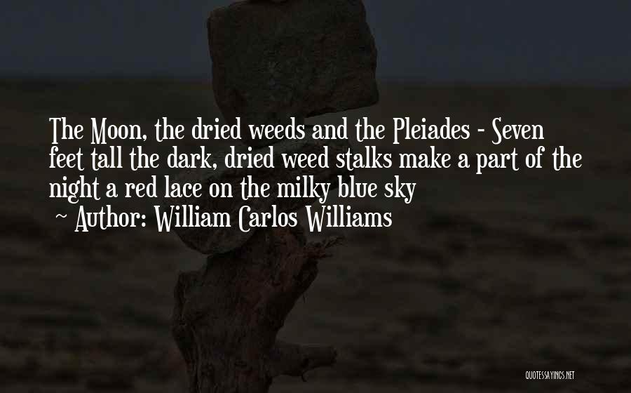 William Carlos Williams Quotes: The Moon, The Dried Weeds And The Pleiades - Seven Feet Tall The Dark, Dried Weed Stalks Make A Part