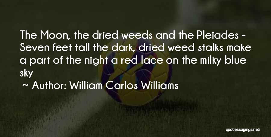 William Carlos Williams Quotes: The Moon, The Dried Weeds And The Pleiades - Seven Feet Tall The Dark, Dried Weed Stalks Make A Part