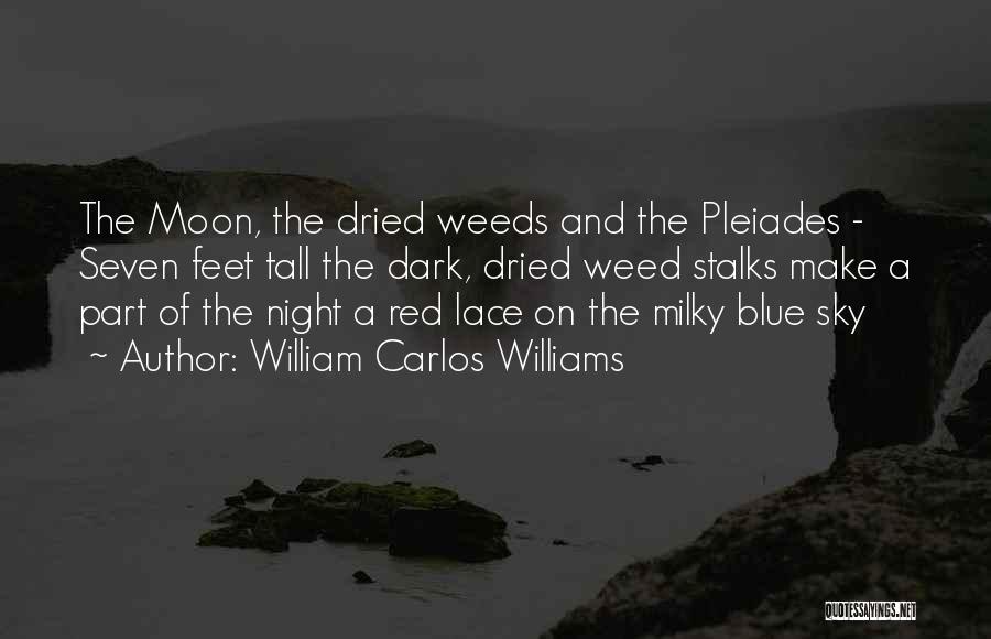 William Carlos Williams Quotes: The Moon, The Dried Weeds And The Pleiades - Seven Feet Tall The Dark, Dried Weed Stalks Make A Part