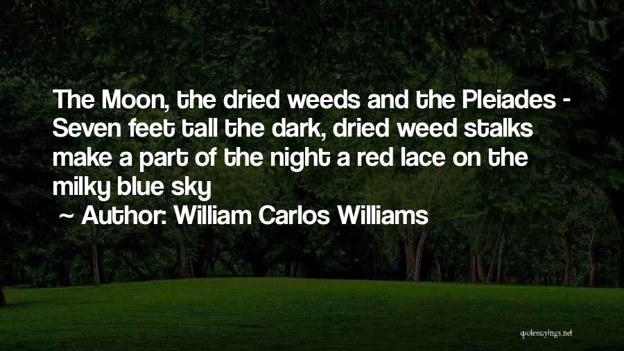 William Carlos Williams Quotes: The Moon, The Dried Weeds And The Pleiades - Seven Feet Tall The Dark, Dried Weed Stalks Make A Part