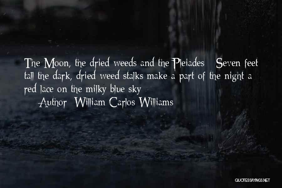 William Carlos Williams Quotes: The Moon, The Dried Weeds And The Pleiades - Seven Feet Tall The Dark, Dried Weed Stalks Make A Part