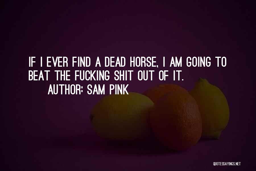 Sam Pink Quotes: If I Ever Find A Dead Horse, I Am Going To Beat The Fucking Shit Out Of It.
