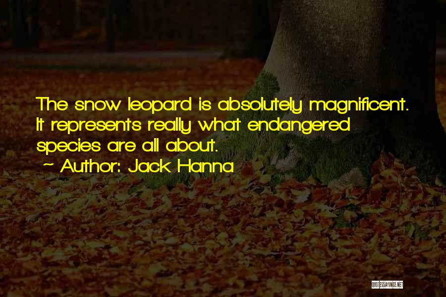 Jack Hanna Quotes: The Snow Leopard Is Absolutely Magnificent. It Represents Really What Endangered Species Are All About.