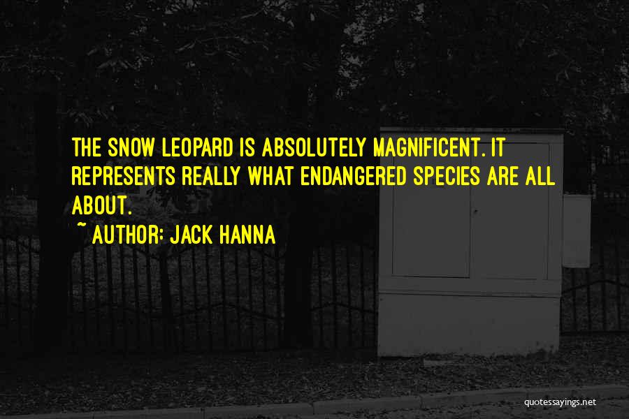 Jack Hanna Quotes: The Snow Leopard Is Absolutely Magnificent. It Represents Really What Endangered Species Are All About.