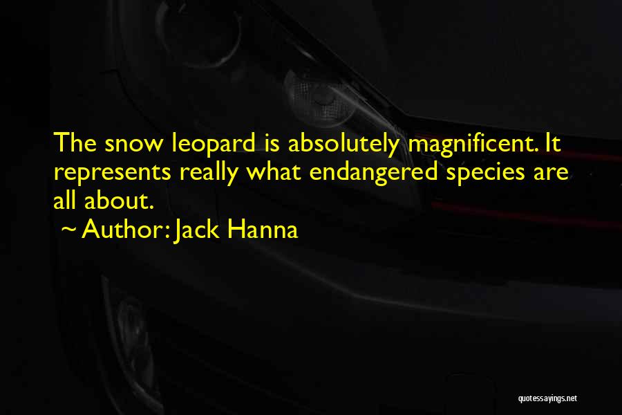 Jack Hanna Quotes: The Snow Leopard Is Absolutely Magnificent. It Represents Really What Endangered Species Are All About.