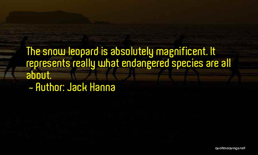 Jack Hanna Quotes: The Snow Leopard Is Absolutely Magnificent. It Represents Really What Endangered Species Are All About.