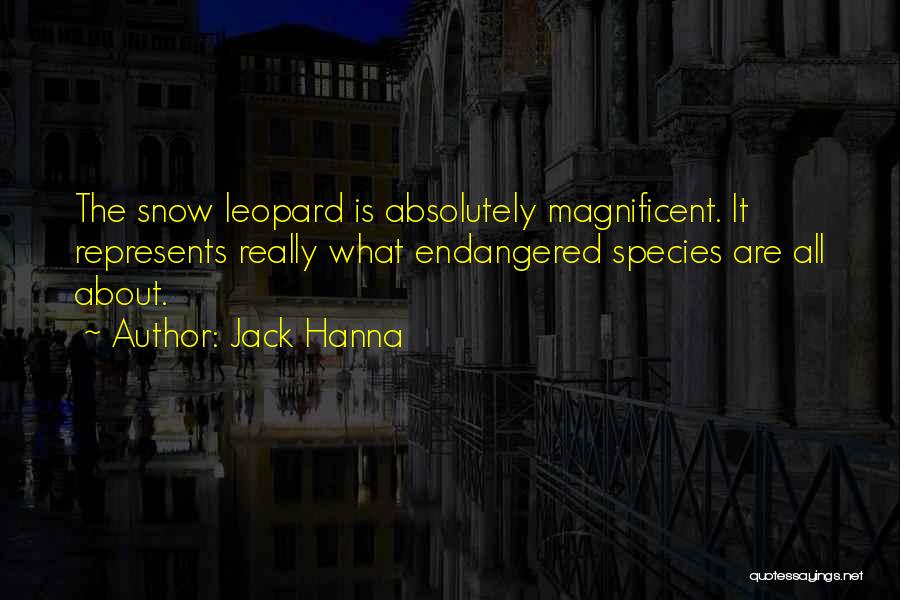 Jack Hanna Quotes: The Snow Leopard Is Absolutely Magnificent. It Represents Really What Endangered Species Are All About.