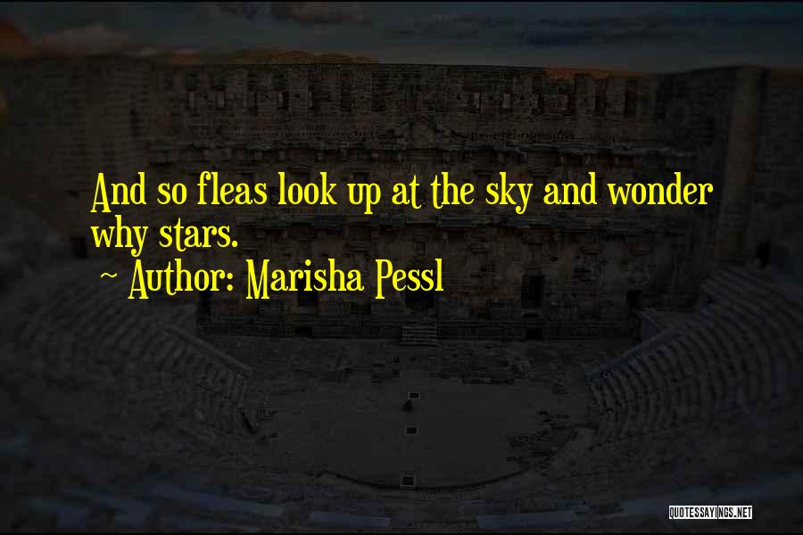 Marisha Pessl Quotes: And So Fleas Look Up At The Sky And Wonder Why Stars.