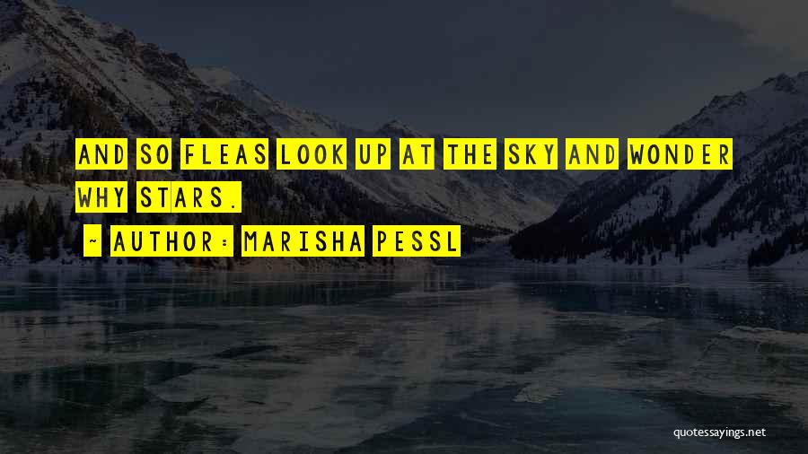 Marisha Pessl Quotes: And So Fleas Look Up At The Sky And Wonder Why Stars.