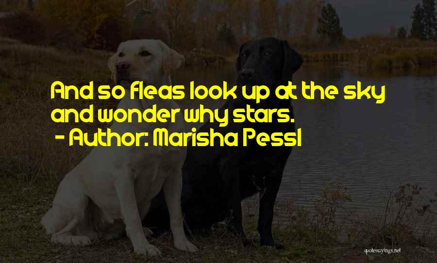 Marisha Pessl Quotes: And So Fleas Look Up At The Sky And Wonder Why Stars.
