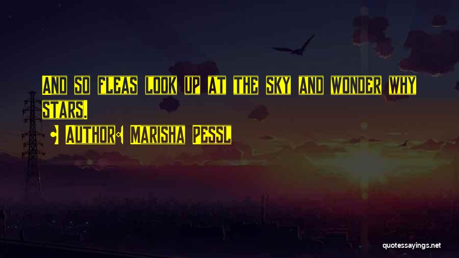 Marisha Pessl Quotes: And So Fleas Look Up At The Sky And Wonder Why Stars.