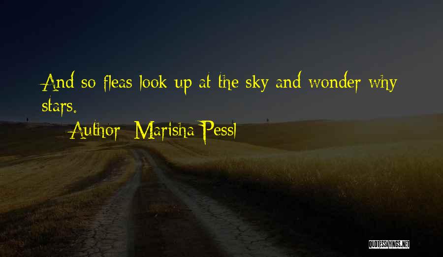 Marisha Pessl Quotes: And So Fleas Look Up At The Sky And Wonder Why Stars.