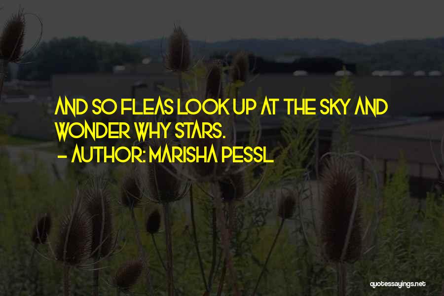 Marisha Pessl Quotes: And So Fleas Look Up At The Sky And Wonder Why Stars.