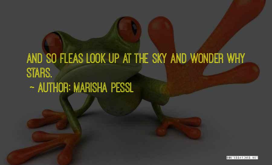 Marisha Pessl Quotes: And So Fleas Look Up At The Sky And Wonder Why Stars.