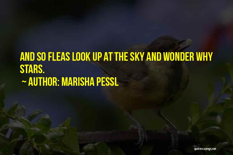 Marisha Pessl Quotes: And So Fleas Look Up At The Sky And Wonder Why Stars.