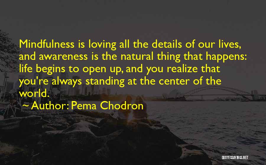 Pema Chodron Quotes: Mindfulness Is Loving All The Details Of Our Lives, And Awareness Is The Natural Thing That Happens: Life Begins To