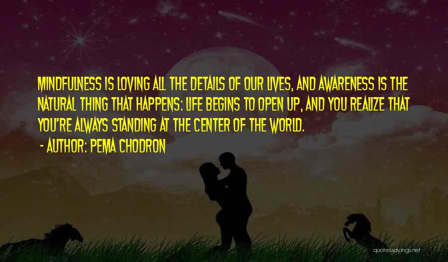 Pema Chodron Quotes: Mindfulness Is Loving All The Details Of Our Lives, And Awareness Is The Natural Thing That Happens: Life Begins To