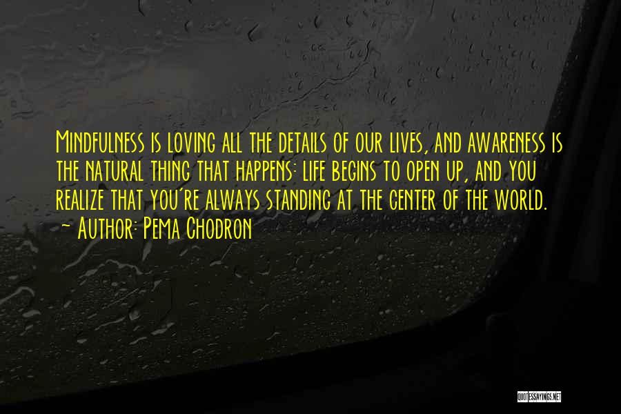 Pema Chodron Quotes: Mindfulness Is Loving All The Details Of Our Lives, And Awareness Is The Natural Thing That Happens: Life Begins To