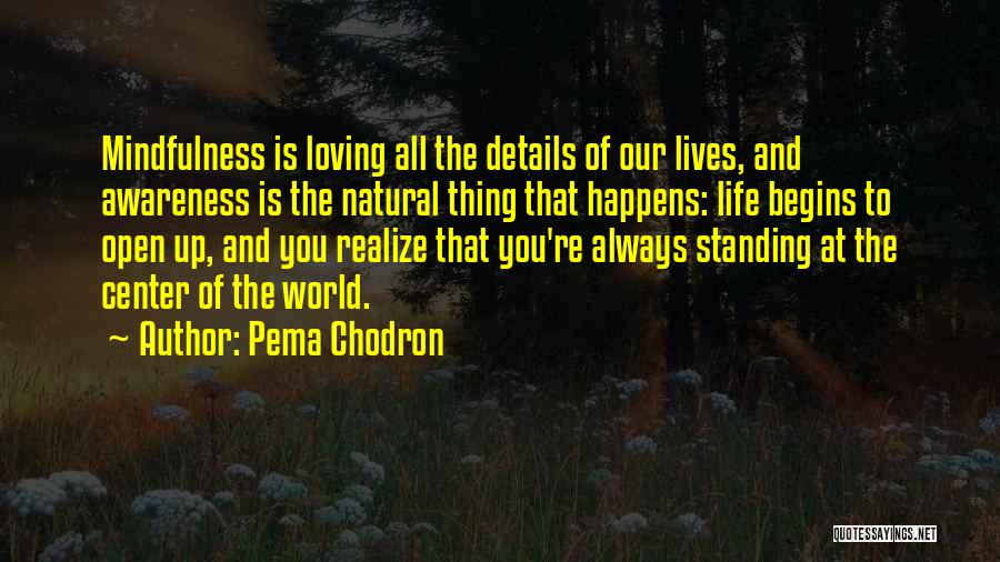 Pema Chodron Quotes: Mindfulness Is Loving All The Details Of Our Lives, And Awareness Is The Natural Thing That Happens: Life Begins To