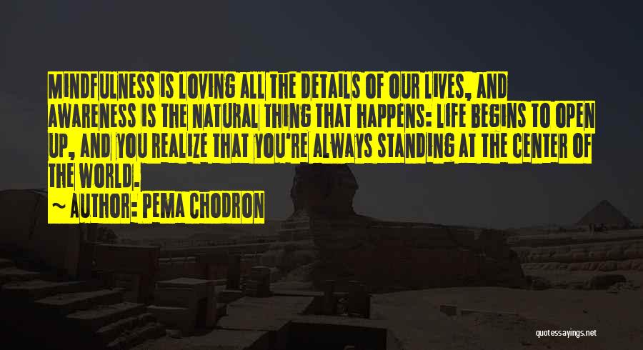 Pema Chodron Quotes: Mindfulness Is Loving All The Details Of Our Lives, And Awareness Is The Natural Thing That Happens: Life Begins To