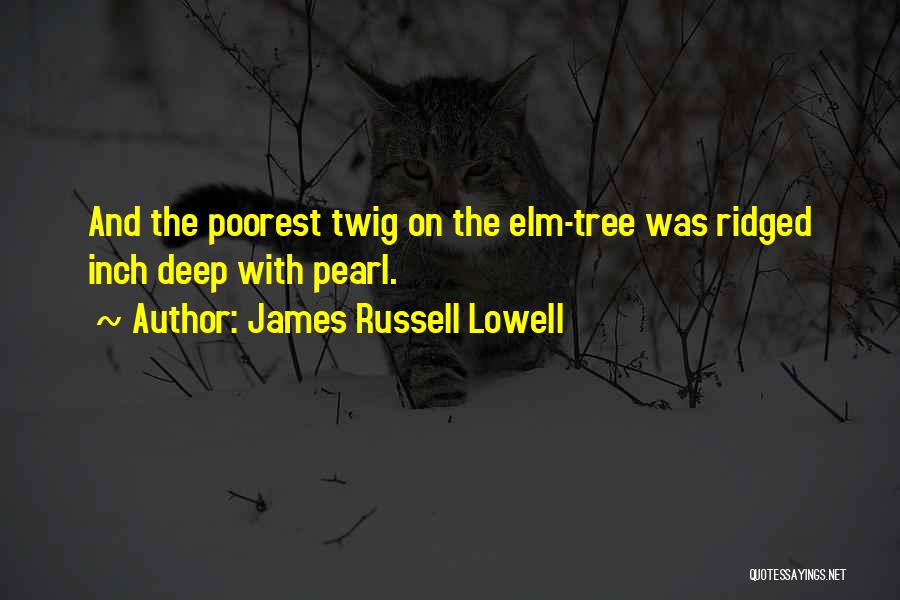 James Russell Lowell Quotes: And The Poorest Twig On The Elm-tree Was Ridged Inch Deep With Pearl.