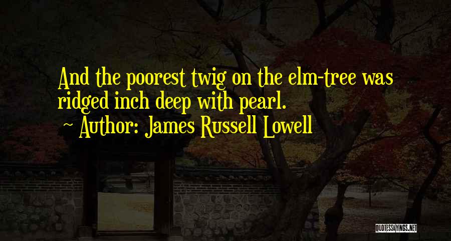 James Russell Lowell Quotes: And The Poorest Twig On The Elm-tree Was Ridged Inch Deep With Pearl.