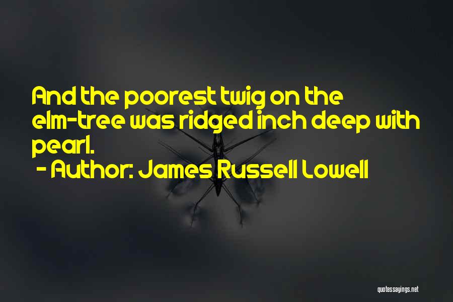 James Russell Lowell Quotes: And The Poorest Twig On The Elm-tree Was Ridged Inch Deep With Pearl.