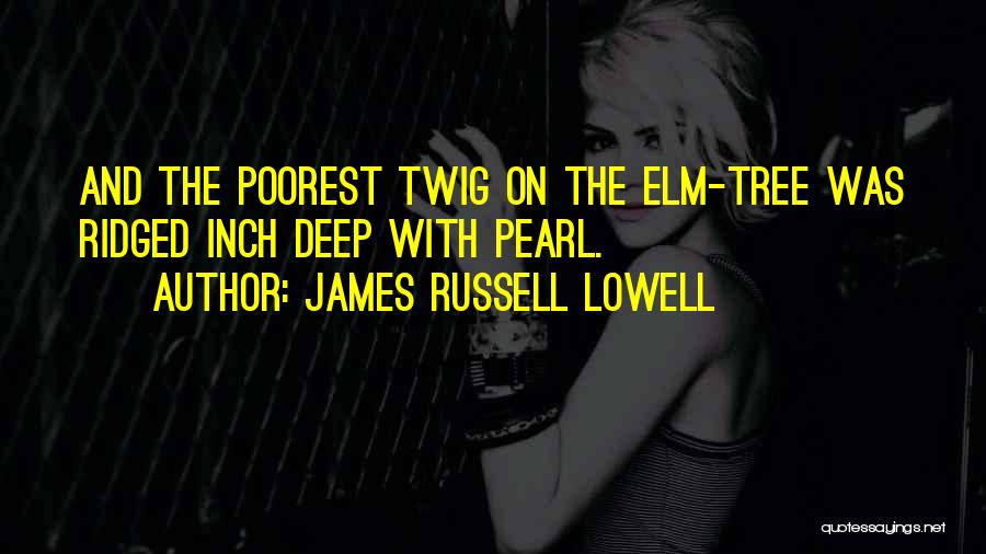 James Russell Lowell Quotes: And The Poorest Twig On The Elm-tree Was Ridged Inch Deep With Pearl.