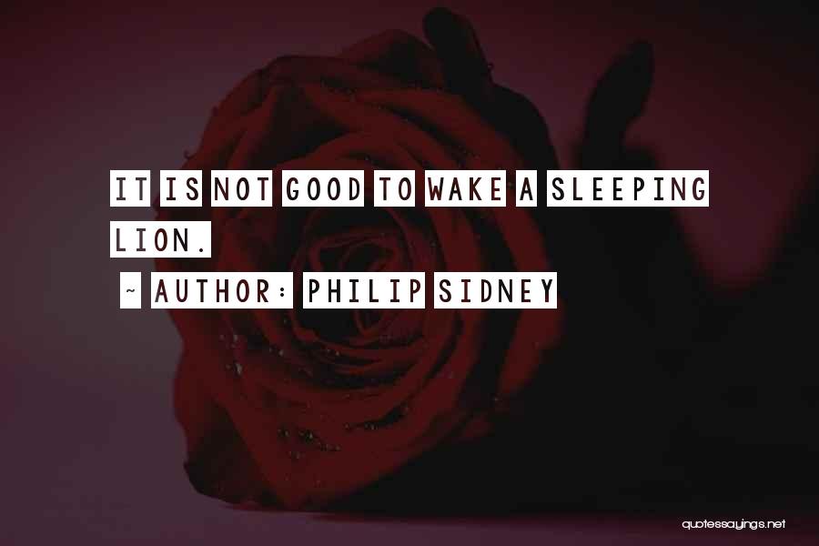 Philip Sidney Quotes: It Is Not Good To Wake A Sleeping Lion.